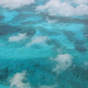 Meet your Posher, Kris